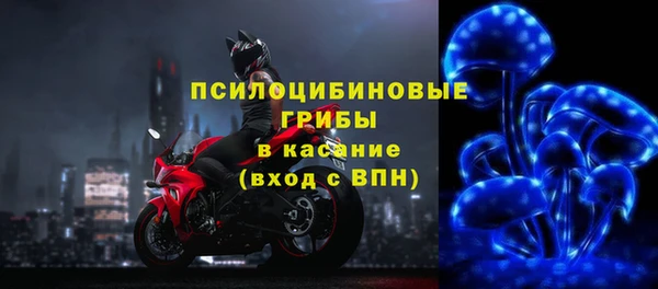 ешки Верея