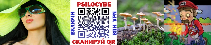 наркошоп  Касимов  Псилоцибиновые грибы ЛСД 